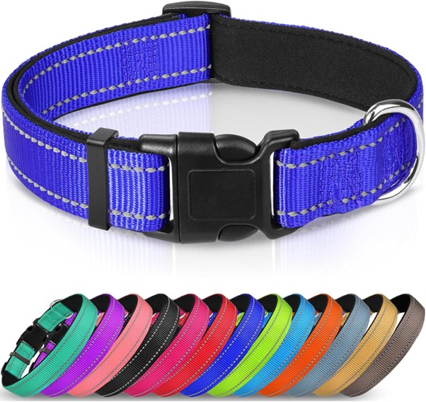 Best collars for french bulldogs