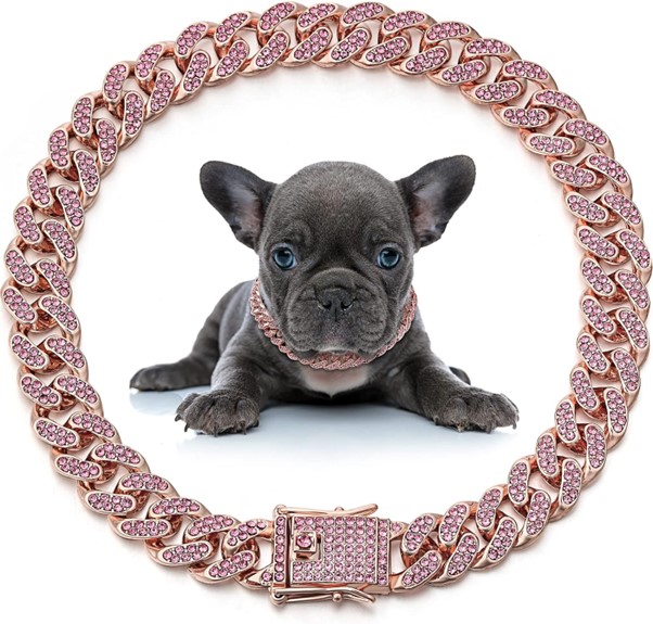 best collar for french bulldog