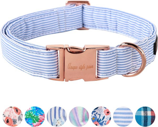 best collars for french bulldogs