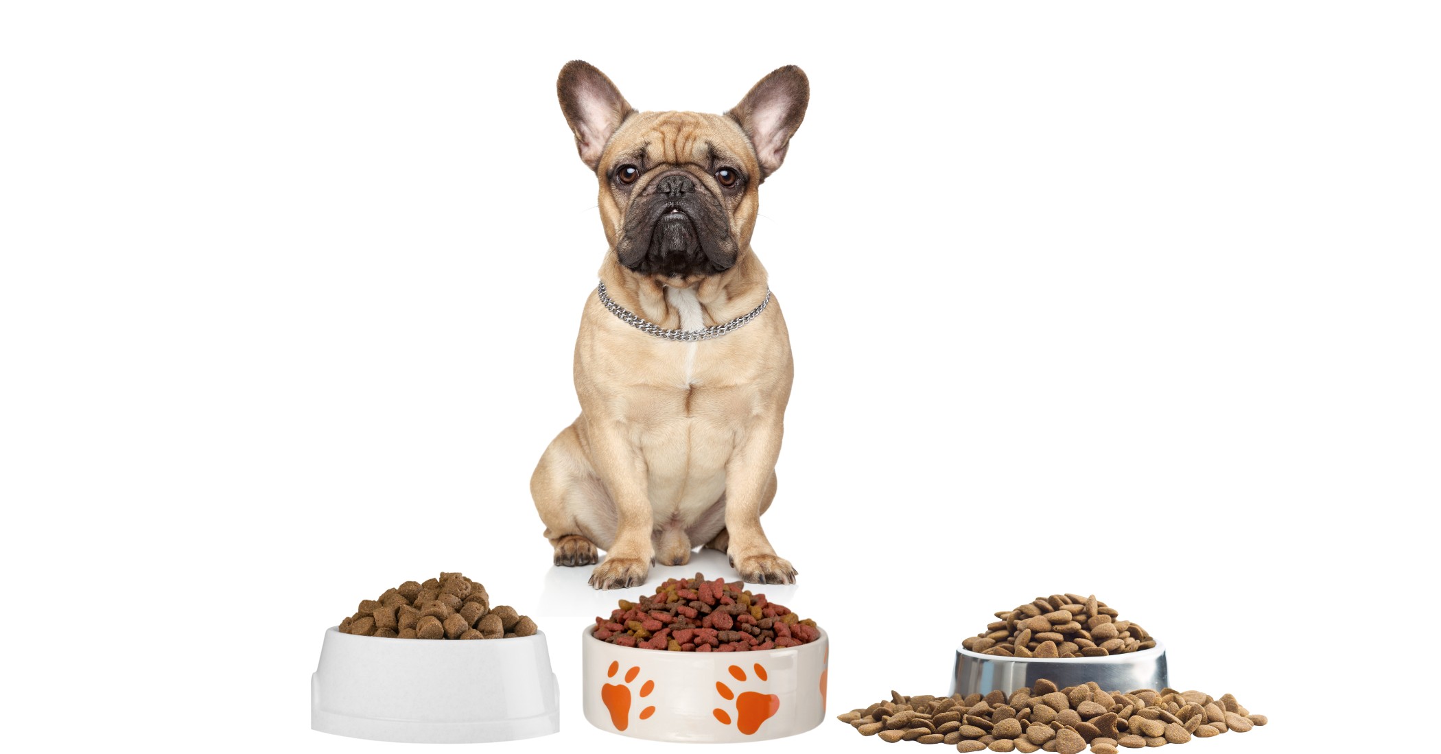 Best dog food for french bulldogs